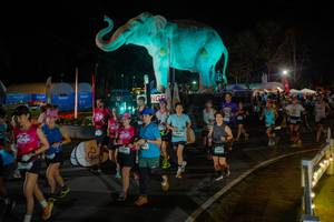 BIB: 
                            <button type="button" onclick="openModal(26552311)" class="btn btn-primary btn-sm float-right btn-popup" data-toggle="modal" data-target=".modal-high-quality">
                        <i class="fas fa-shopping-cart"></i> Add to Cart
                    </button>
                                            <button type="button" onclick="isThisMe(26552311, true)" class="btn btn-success btn-sm float-right btn-popup btn-isme hidden" data-toggle="tooltip" data-placement="bottom" title="นี่คือรูปของคุณใช่ไหม คลิกที่นี่เพื่อเอาเข้าอัลบั้ม">
                        <i class="fas fa-plus"></i> Add to album
                    </button>
                    <button type="button" onclick="isThisMe(26552311, false)" class="btn btn-warning btn-sm float-right btn-popup btn-isnotme hidden">
                        <i class="fas fa-ban"></i> Remove from album
                    </button>